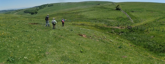 col de Bonnecombe les pâtures d'Aubrac