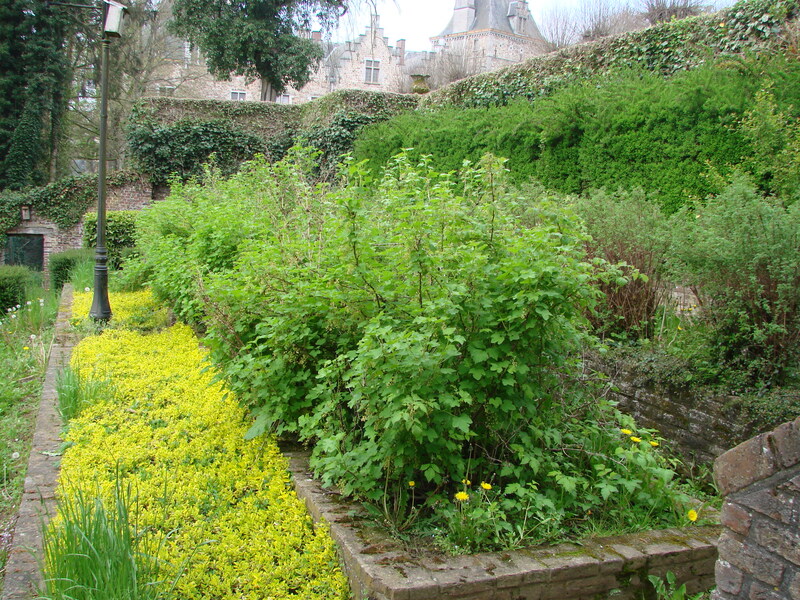 Château de Ham-sur-Heure