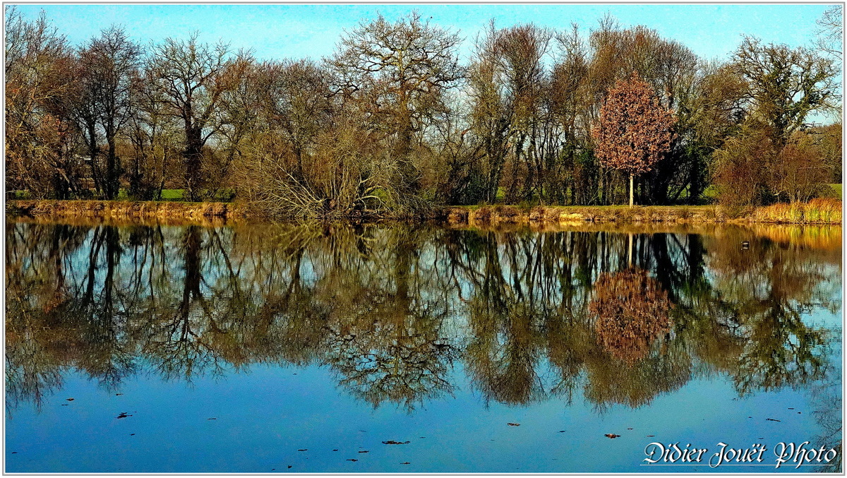 85 . Vendée - La Chaize le Vicomte (26) - Etang communal