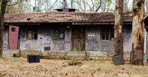 Jouer à Genie Desolate forest house escape