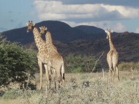 Namibie 2017