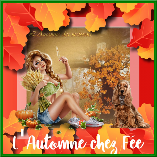 Défi "L'Automne des moissons"