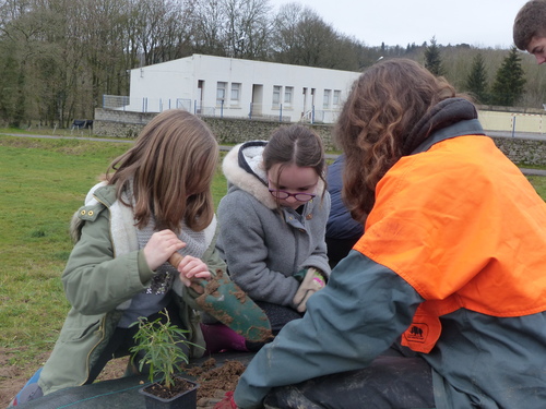 Ecoliers et lycéens à pied d'oeuvre !