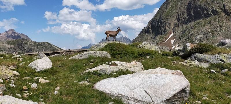 Les Lacs de Valescure 2274m 25Juillet