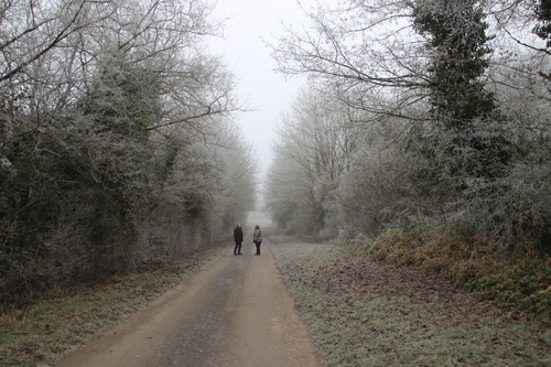 Dentelles de givre