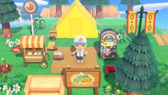 Pocket camp/ New horizons