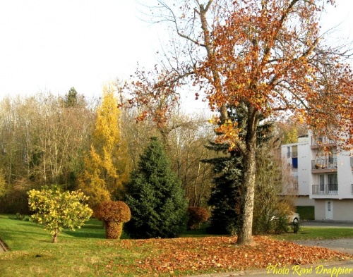 Châtillon sur Seine, ville dans un parc : l'exemple des résidences "le Trianon" rue de la Feuillée...