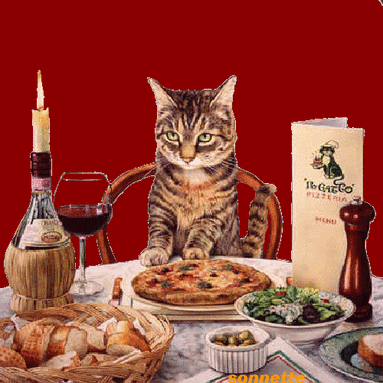Résultat de recherche d'images pour "chat bon appétit humour"
