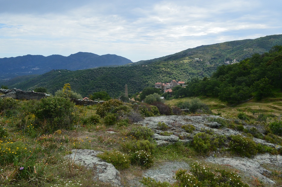 Dans le Nebbio : Sorio et San-Michele di Murato