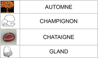 Gagner du temps sur les modèles d'écritures (CP) - La classe de crapi