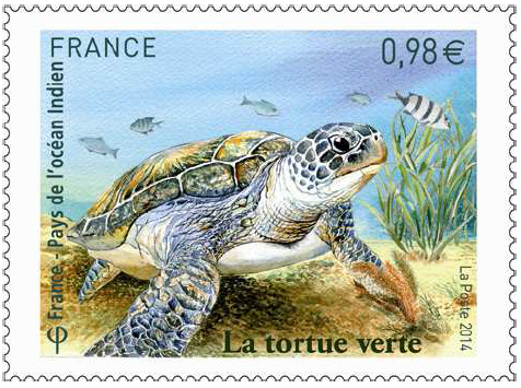 Résultat de recherche d'images pour "timbre tortue"