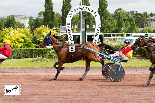 Prix Vrai Lutin