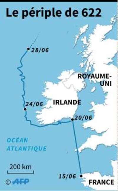 Finistère: un petit phoque réalise un "incroyable parcours" plein Nord