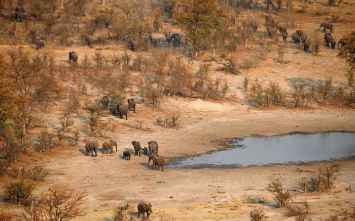 LE PARC NATIONAL DE CHOBE EST LE PREMIER PARC NATIONAL DU - BOTSWANA