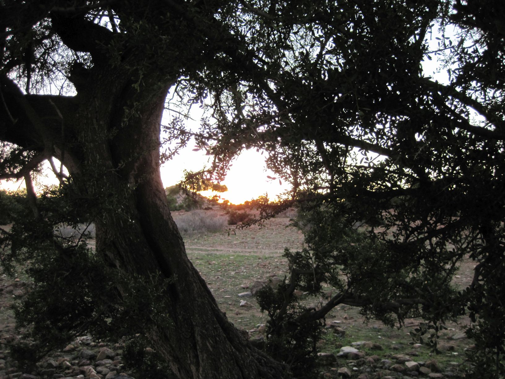 Bivouac route Agadir Tafraoute