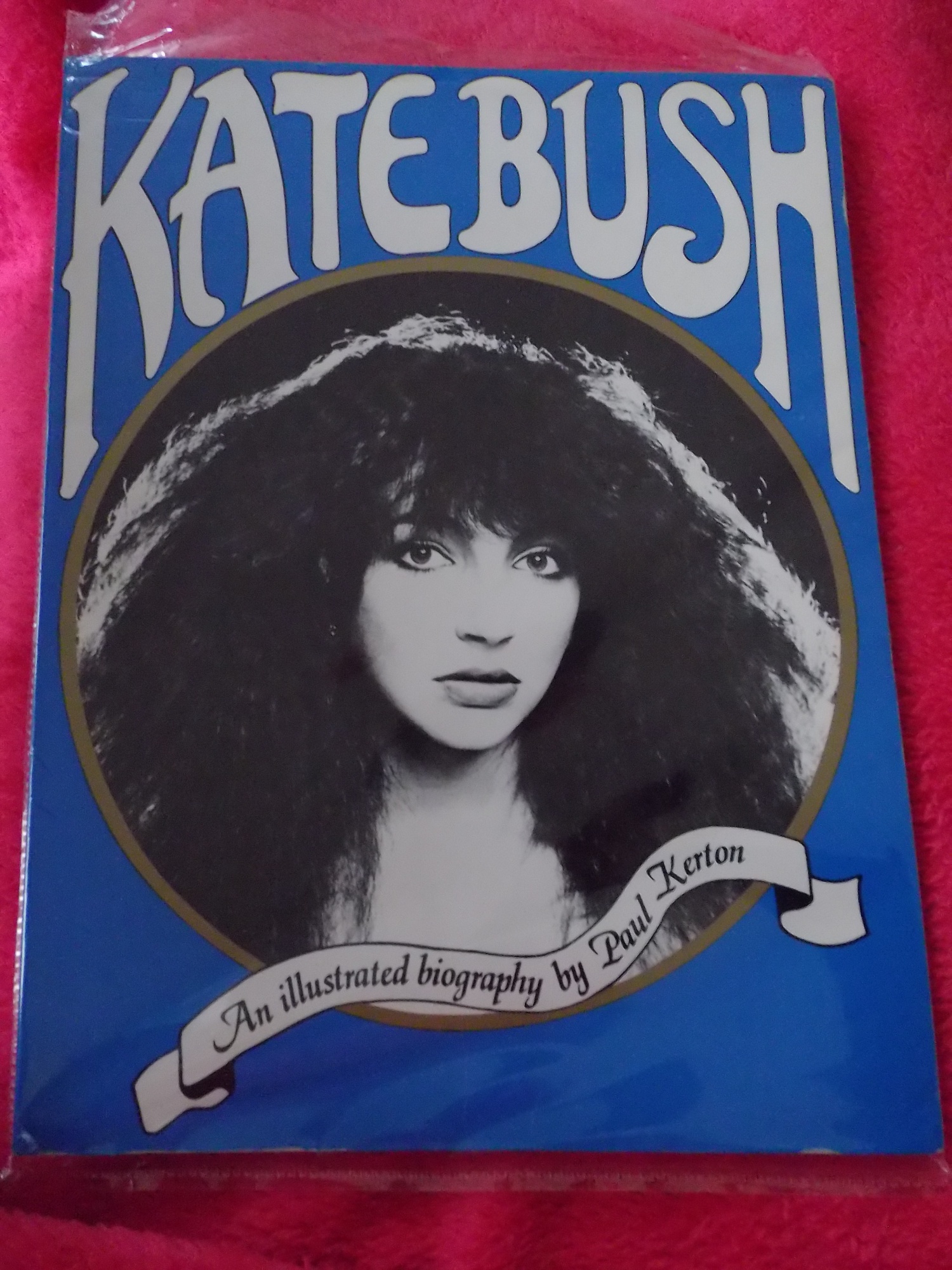 Les livres sur Kate YjgAh9idRbpQV7kslp8lxAZ-bfY