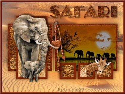 Safari