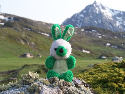 mascotte en montagne