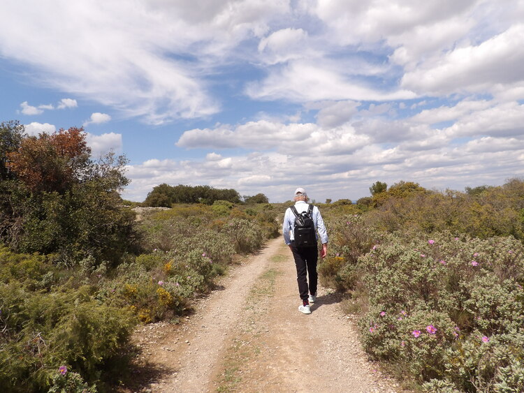 La garrigue..