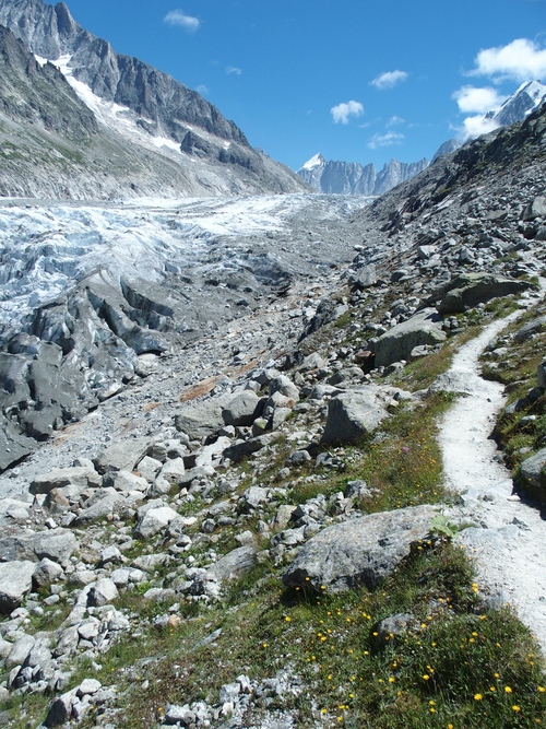 le glacier d'Argentière.
