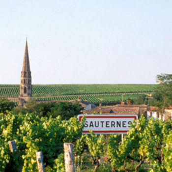 sauternes