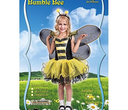 Queen Bee Costumes Adults - Buy Bee Costumes and Accessories At Lowest Prices