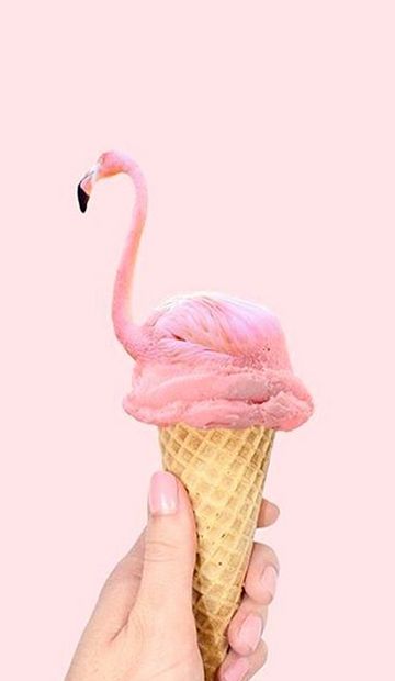 Qui n’a jamais rêvé d’un musée entièrement dédiée à la crème glacée ? Le rêve devient réalité !