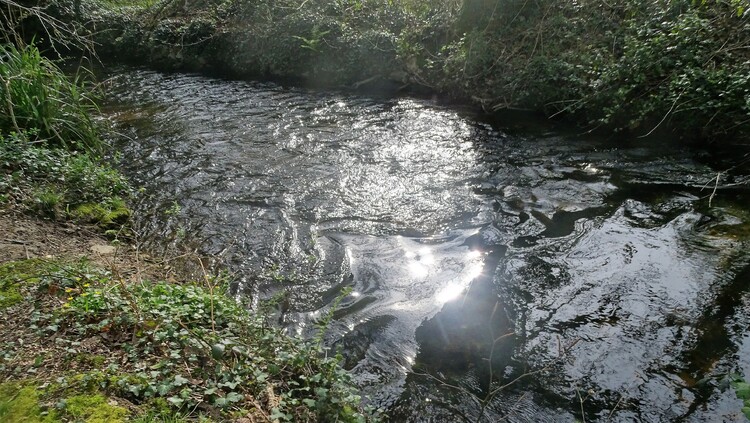 Longer le ruisseau vers Pont Kerran Languidic (3)