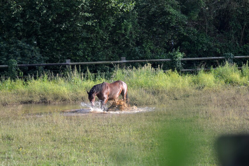 Venez je vous emmène prendre un bain de boue dans le champ inondé