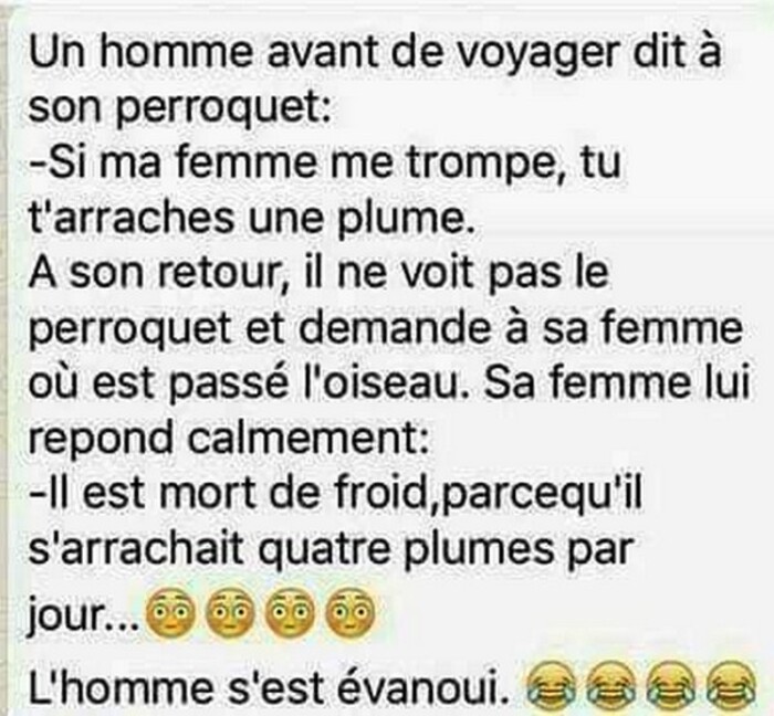 Allez, c'est l'week-end humour  ( 22 )