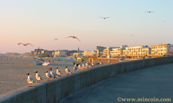 berck25l.jpg