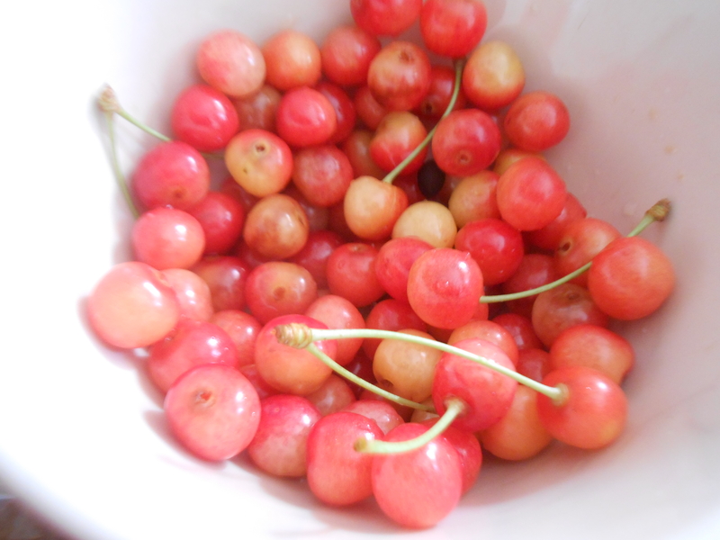 fraises au jardin et cerises au squere colluche