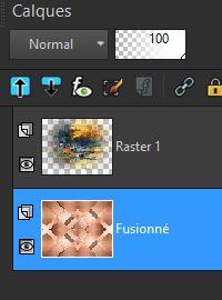 Beauté des sous-bois en automne