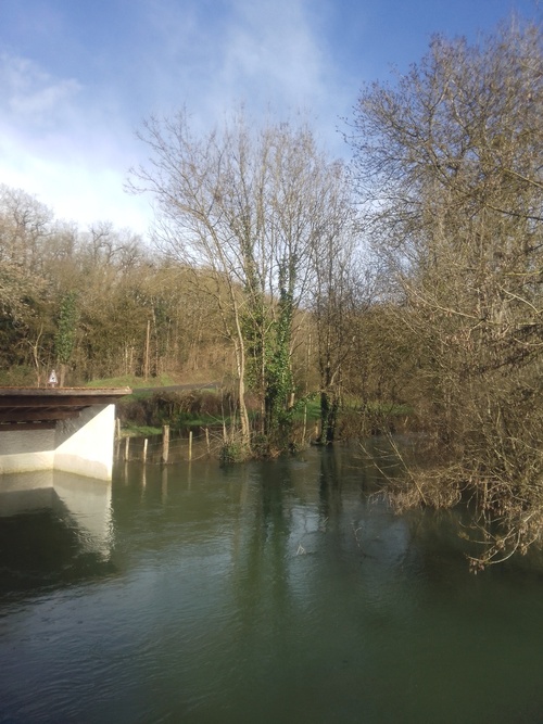 Balade au bord de l eau...