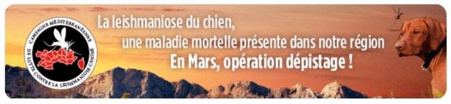 Leishmaniose : dépistage gratuit dans le sud !