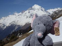 mascotte en montagne