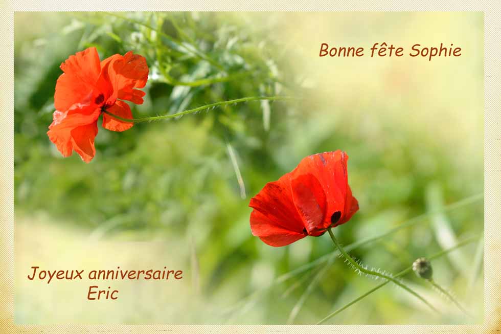 Bonne fête Sophie et bon anniversaire Eric