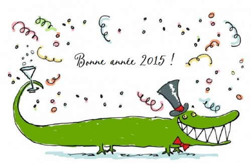 Bonne année 2015 