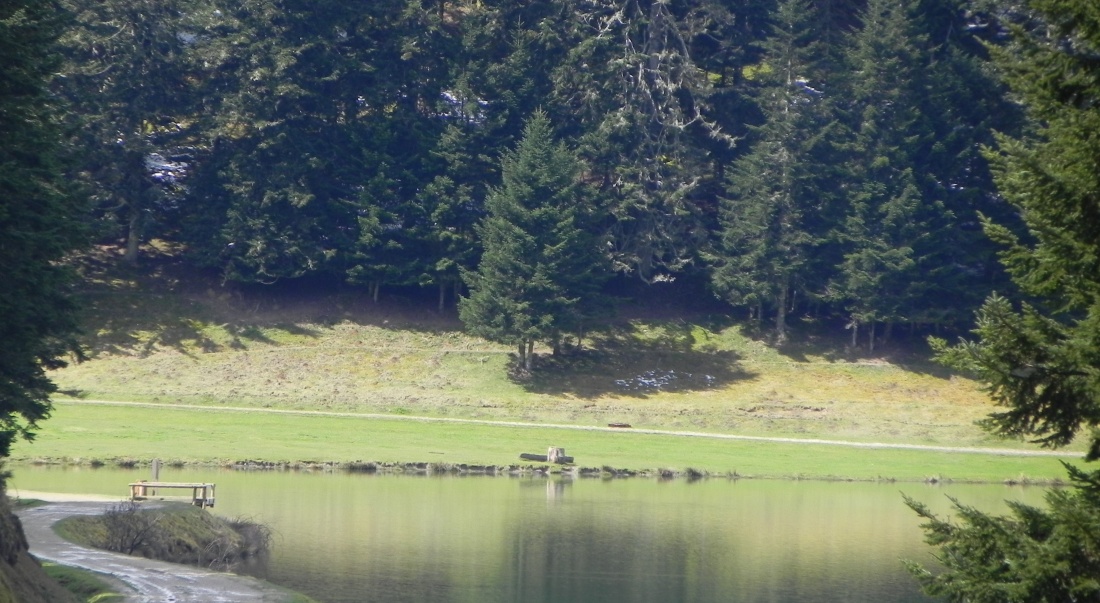 Le Lac de Payolle-Campan  dans les Pyrénnées