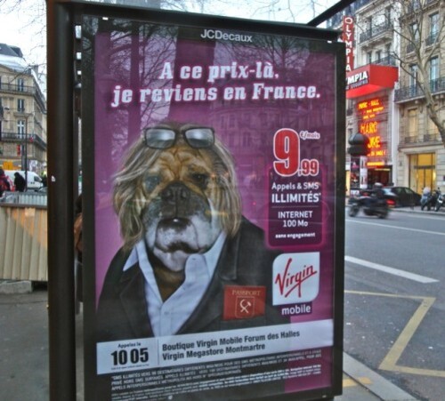 affiche Virgin mobile Depardieu chien