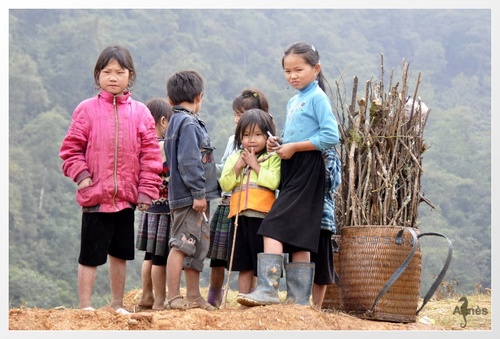 VIET NAM portraits