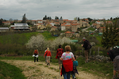 randonnées en Haute Loire