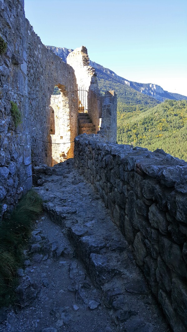 Le chateau cathare de Puilaurens N°2 ( Pyrénées audoises )