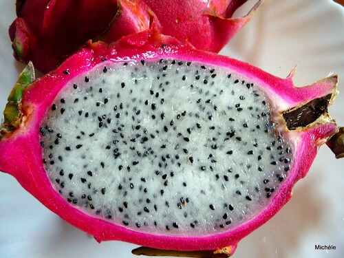 Le fruit du dragon : pitaya