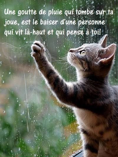 Goutte de pluie