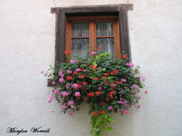 Eguisheim (68) 5/ : Portes et fenêtres