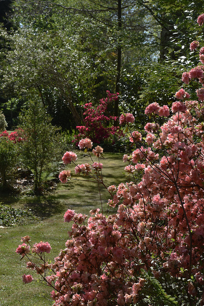 Retour au jardin Lalande