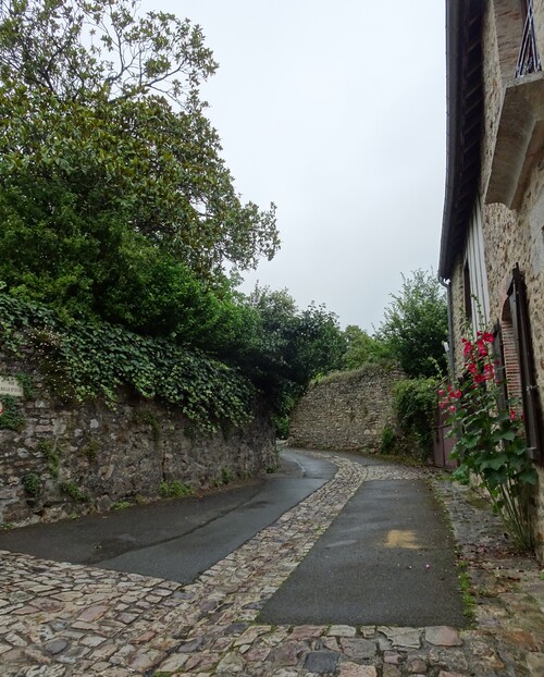 Sainte-Suzanne (Mayenne)