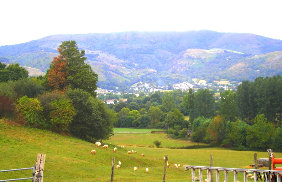 TORNADE,quelques photos du pays basque et son arrivée,chez nous.