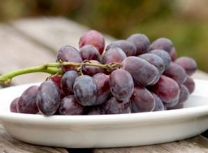 fruits et legumes de septembre